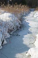 Winter landscape with frozen creek