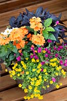 Plant containers with annuals