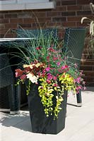 Plant container with Dianthus, Miscanthus, Heuchera and Vinca minor Cahill ILLUMINATION