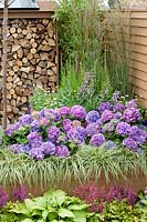 Garden design in violet color tones