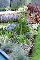 Plant border with perennials and ornamental grasses