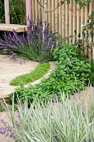 Wooden terrace with perennials and herbs