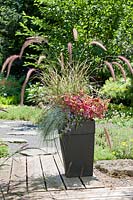 Plant containter with Alternanthera Brazilian Red Hots, Festuca, Pennisetum Fireworks