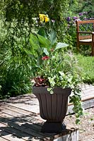 Plant container with Pennisetum, Canna, Echinacea, Lamium, Heuchera