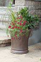 Plant container with Coreopsis rosea American Dream, Pennisetum, Laurus nobilis