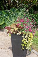 Plant container with Heuchera Caramel, Vinca Illumination, Miscanthus sinensis Gracillimus, Dianthus Zing Rose