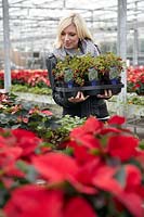 Young woman in the garden center holding cranberries