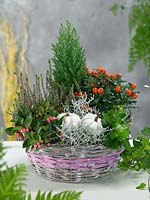 Arrangement with indoor plants and pumpkins
