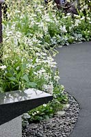 Plant border with annuals in white colors and walk way