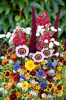 Summerflowers mixed with Pericallis, Anthirrhinum, Tagetes, Centaurea, Sanvitalia, Coreopsis, Amaranthus Lobularia