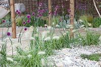 Rock garden with Pennisetum and Allium