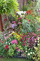 Plant border with Astilbe, Dianthus, Nicotiana, Bracteantha, Echinacea, Helenium and birdhouse