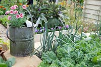 Impression with watering can in the vegetable garden