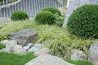 Rock garden with Carex, Sedum, shape cut Buxus 