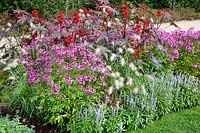 Plant border in the summer with Salvia Strata, Ricinus Carmencita Rot, Cleome Seniorita Rosalita, Pennisetum