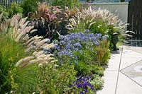 Plant border with ornamental grasses and perennials
