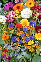 Summerflowers mixed with Calendula, Dianthus, Sanvitalia, Centaurea, Tagetes, Lobularia, Anethum, Borago