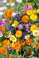 Summerflowers mixed varieties, flower border romance