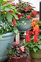 Planters with annuals 