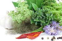 Herbs mixed on white background