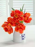 Tulipa Double Late Icoon in flower vase