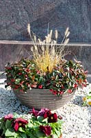 Grave decoration plant bowl with Gaultheria and Pennisetum