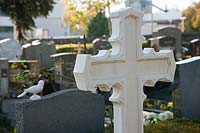 Cemetery impression with white marble cross