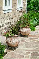 Terra cotta planters with Pennisetum setaceum Rubrum and Petunia Million Bells