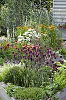 Terrace garden with perennials in summer