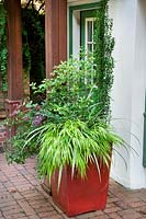 Planter with Carex, Ilex, Buxus and Loropetalum