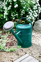 Watering can in the perennial garden