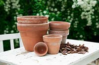 Clay pots with mulch