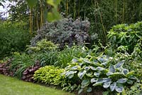 perennials garden with Hosta