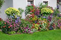 Summerflowers in the garden with Pelargonium, Petunia, Argyranthemum, Begonia, Bidens, Calibrachoa, Mimulus, Plumbago, Impatiens, Dahlia