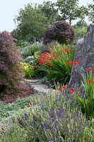 Rock garden with Acer, Crocosmia, Conifers, Hemerocallis, 