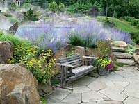 Rockgarden with Perovskia, Heliopsis and wooden bench swimming pool