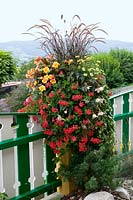 Flower box at the garden fence Begonia, Pelargonium, Pennisetum