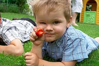 Boy eats Strawberry in the garden