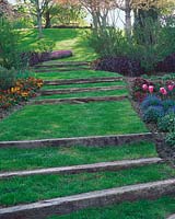 Garden scenery with wooden steps and lawn