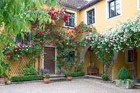 Inner courtyard in summer with roses and patio plants