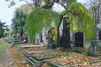 Allhallows / cemetery, graves