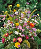 Trockenblumen Mischung / Bouquet