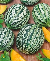 Melone / Cucumis melo Oranje Ananas
