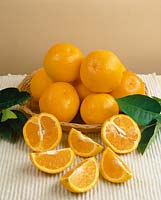 Orange / Citrus sinensis Valencia