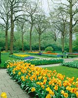 Frühlingsstimmung mit Blumenzwiebeln im Park