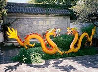 Chinesischer Drache / Chinese Dragon