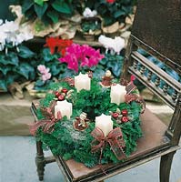 Adventskranz mit weissen sternförmigen Kerzen und dunkelrotem Dekor