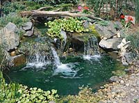 Teich mit Wasserpflanzen und kleiner Wasserfall