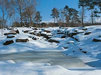 Winterlandschaft mit eingefrorener Wasserstelle