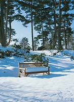 Wooden bench in snow